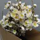 6 PCS Artificial Cherry Blossom Branches Spring Indoor Decoration, Faux Flowers 34.45" Long Stems Plum Fake Peach Plants Real Touch Silk for Wedding Home Bedroom Party Table Office, White