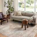 Loloi Heidi Collection HEI-02 Sage/Multi 2'-0" x 5'-0" Accent Rug
