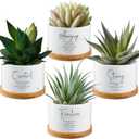 Sieral 4pcs Bible Verse Succulent Pots 3 x 3 x 2 Inch Mini Ceramic Succulent Planters with Bamboo Tray Small Plant Pots Christian Gift for Church Women Men Pastor, Plants Not Included (Classic)