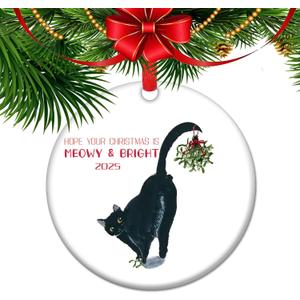 Hope Your Christmas is Meowy & Bright - 2025 Black Cat Christmas Ornament, Funny Feline Holiday Decor, Cute Kitty Gift for Cat Lovers, Whisker Wonderland Tree Decoration (C3)