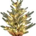 LinTimes 24 Inch Table Top Small Christmas Tree with 50 LED Lights, Prelit Mini Christmas Tree Frosted Pine Tree with Red Berries for Home Table Centerpiece Dining Room Office Desk Decorations (Green)