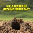 Raid Outdoor Wasp Ground Nest Killer, Dust Insecticide for Outside Household Use on Wasps, Fast-Working, Easy-to-Use and Odorless, 24 oz