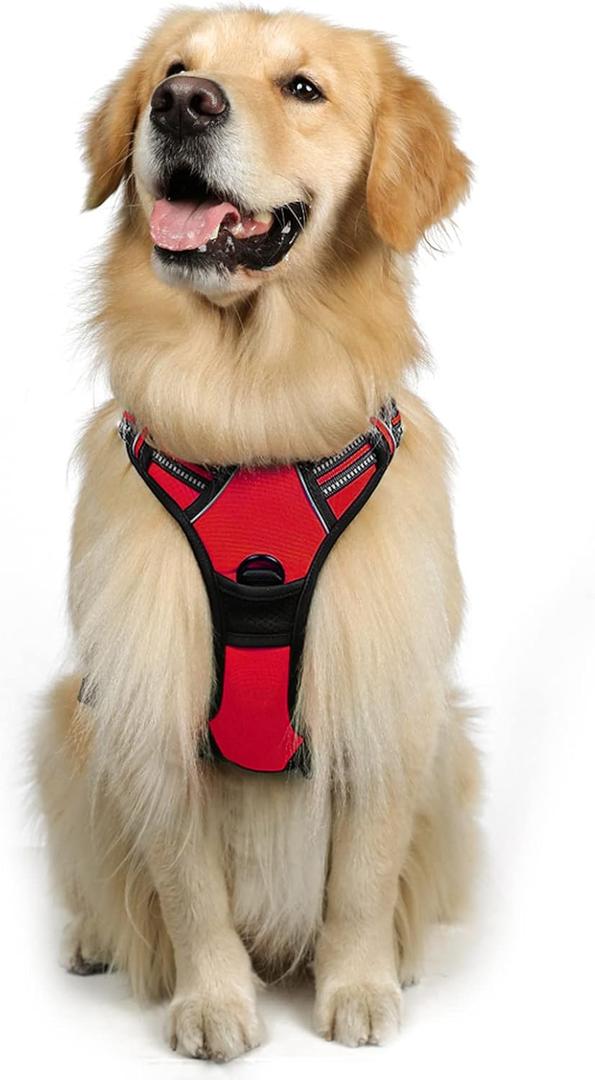 rabbitgoo Dog Harness No Pull with 2 Leash Clips, Adjustable Soft Padded, Reflective Oxford No Choke Pet Vest with Easy Control Handle for Large Dogs, Black & Red, M rabbitgoo Dog Harness No Pull with 2 Leash Clips, Adjustable Soft Padded, Reflective Oxford No Choke Pet Vest with Easy Control Handle for Large Dogs, Black & Red, M