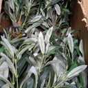 Artificial Olive Double Ball Topiary Trees, 3FT Faux Olive Topiary Tree 2 Packs, 35 Inch Fake Potted Plants for Indoor Porch Decor