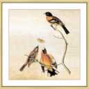 9x9 Picture Frame, Brass Metal Square Photo Frames with HD Glass, Fits 8x8 with Mat or 9 x 9 without Mat, Display for Wall and Table, 1 Pack