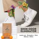 12 Pack Baking Soda Deodorizers, 6 Deodorizer Balls + 6 Refills, Odor Eliminator for Shoes Closets Bathroom Pets, Air Freshener for Home, Up to 240 Days