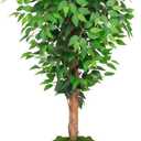5ft Ficus Artificial Tree with 3 Natural Curved Trunks, 60" Tall Lush Faux Tree for Home Decor Indoor, Green Lifelike Fake Ficus Tree with White Planter Pot