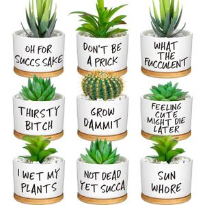 Domensi 9 Pcs Funny Succulent Pots Cute Aloe Cactus Planter with Bamboo Tray Ceramic Accessories White Mini Flower Drainage Tray Pots Indoor Outdoor Plants Birthday Gifts Housewarming Women Coworker