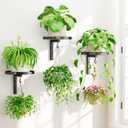 iDavosic.ly Wall Plant Holder Set of 3 for Indoor Outdoor, Metal Hanger with 3 Hooks, Floating Flower Display Stand for Window, Space Saving & Easy to Assemble (Pots/Chains/Plants Not Included)  Classic Black, 3 Pack