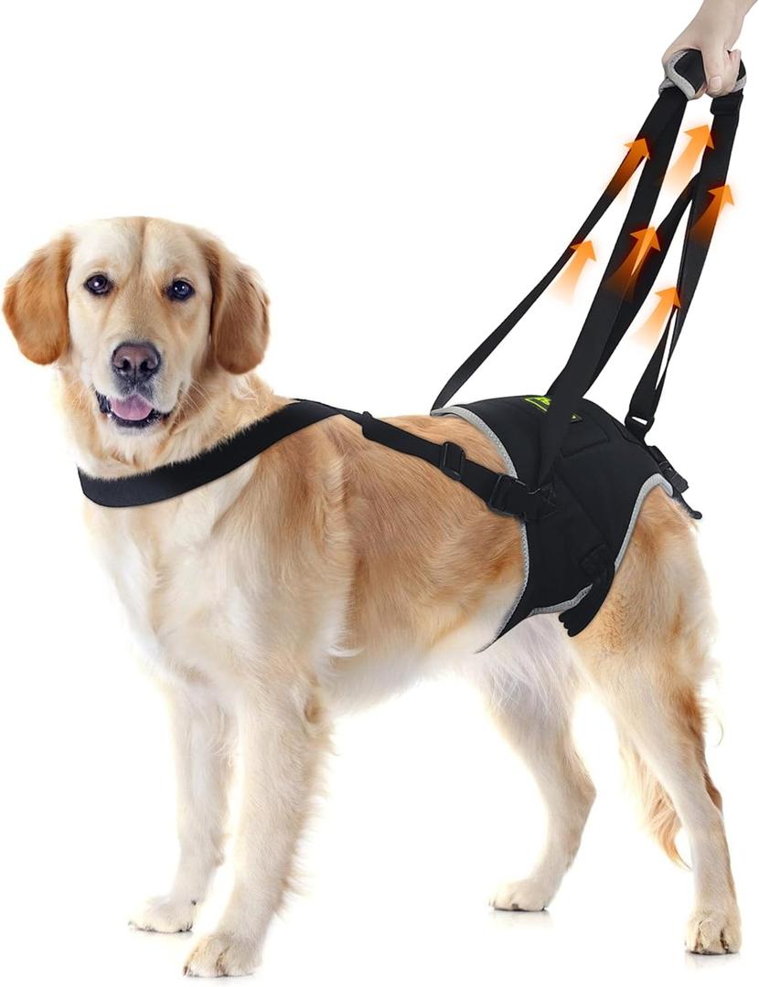 KISFLY Dog Lift Harness for Extra Large Dogs, Sling for Dogs Back Legs with Handle, Helps Support Weak Hind Legs and Prevent Slipping, Breathable and Easy to Wear, Size XL