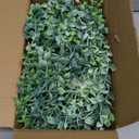 Dolicer 5 Packs Eucalyptus Garland with LED Lights String, 30Ft Faux Eucalyptus Greenery Garland, Artificial Hanging Green Eucalyptus Leaves Vine Wedding Backdrop Arch Wall Table Decor (Grey Green)