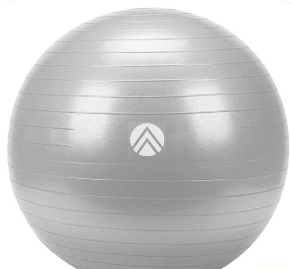 TRAJECTY ANTIBURST STABLTY BALL 55 CM GRY