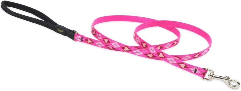 LupinePet Originals 1/2" Puppy Love 6-foot Padded Handle Leash for Small Pets
