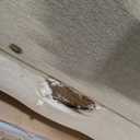 Ball & Cast L-Shape Reversible Sectional Sleeper Sofa Bed 4 in 1 Pull Out Couch with Storage Chaise & Removable Back Cushions,Convertible Sleeper Corner Couch Pull-Out Sofa Bed for Living Room,Office