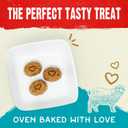 Stella & Chewy's Freeze-Dried Raw Coated Dog Biscuits  Grass-Fed Lamb Recipe  Protein Rich, Grain Free Dog & Puppy Treat  Great Snack for Training & Rewarding  9 oz Bag (9 Ounce (Pack of 1))