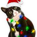 2 x Tuxedo Cat Christmas Acrylic Ornament  Black and White Cat Ornament, Customizable with Name - Easily Add Name with Marker (Marker Not Included)