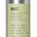 AG Care Boost Apple Cider Vinegar Conditioner with Mango Seed Butter - Clarifying Conditioner Deep Moisturizing for High Shine and Healthy Hair, 12 Fl Oz Bottle