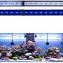 KZKR LED Aquarium Light 60-72 Inch Foldable Adjustable Fish Tank Light Hood Lamp for Freshwater Saltwater Marine Blue and White Decorations Light 5-6ft 150cm - 180cm