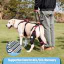 Dog Knee Brace with Lift Harness for Back Legs, Set of 2 Adjustable Non-Slip Support for Large & Senior Dogs, ACL/CCL Injury & Mobility Aid, Black, X-Large