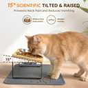 Elevated Cat Food Bowls with Mat, 2 Stainless Steel Raised Cat Food and Water Bowls, 15 Tilted Stand Anti Vomitting, Whisker Fatigue, Dishwasher Safe Cat Bowl