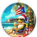 2 x Puerto Rico Ornaments 2026 - Elegant Puerto Rico Gifts for Men Women Mom Dad, Cute Ceramic Ornaments for Tree Decor, Unique for Friends, Funny Gifts for Puerto Ricans