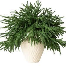 Faux Cedar Stems Artificial Norfolk Pine Branches for Christmas Decor, Fake Pine Stems with 2 PCS Pine Cones Branches Real Touch Realistic Faux Greenery for Vases DIY Garland Xmas Table Indoor