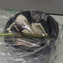 Halloween Decorations Indoor, Cauldron Halloween Decor Set with Magic Floating Potion Bottles Skeleton Mist Maker, Black Witches Cauldron Diffuser for Home Kitchen Mantel Party Decor