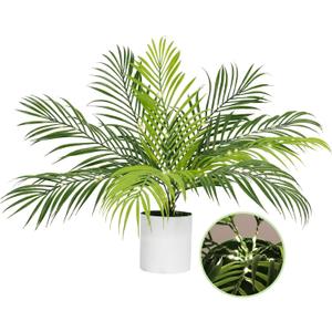 RECUTMS Fake Plants Tall 19In Artificial Tropical Palm Tree Potted with Light Faux Monstera Greenery Plants in White Pot for Indoor Outdoor Home Office Living Room Bedroom Desk Balcony Farmhouse Decor