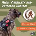 Morale Patches | Funny Military Hook & Loop Embroidered Patches for Backpacks, Collar and Vests (20-Pack) (Regular, Assorted)