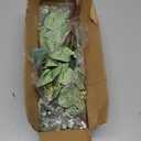 ZeKonan 40 Pcs Artificial Greenery Eucalyptus Stem Silver Dollar Leaves Baby Eucalyptus Leaves Suitable for Family Wedding Vase Centerpieces Bouquet Flower Arrangement