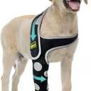 Dog Elbow Brace & Dog Front Leg Brace to Stop Licking – Dog Elbow Protector & Hygroma Elbow Pads for Dogs, Breathable Dog Sleeves for Front Legs, Reflective, Cone Alternative – Right Leg, XS