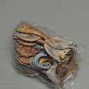 48 Pcs Summer Ocean Themed Decor Seashell Seahorse Hanging Ornaments Nautical Sea Animal Decor Tree Ornaments with Ropes Coastal Christmas Tree Ornaments for Home Weeding Birthday Party Decorations