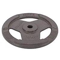 4 PCS Standard Cast Iron Weight Plate for Strength Training & Weightlifting, Multiple Sizes 10 LB