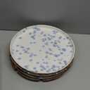 GIROFLIER Junko Flat Dinner Plate Set of 3, 10.8 inch with High Edge Dish Set - Microwave and Dishwasher Safe, Scratch Resistant, Modern Dinnerware- Kitchen Serving Dishes (Splash Blue)