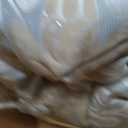 Amelia 6-Pc. Comforter Set, Queen