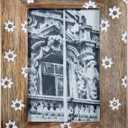 Foreside Home & Garden White Flower Pattern 4x6 Inch Wood Decorative Picture Frame FFRD09976, Natural
