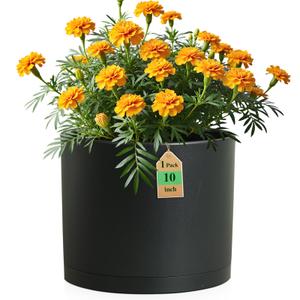 10 Inch Round Plastic Plant Pot with Drainage Holes and Saucer, Wide Flower Pots for Indoor & Outdoor Plants 7.9" Tall Modern Cylinder Planter Pot for House Plants and Home Decorative, Matte Black