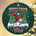 2 x 2025 Christmas Ornament  Sorry Santa I Have Been Feral Funny Naughty Holiday Ornament Gift, Xmas Tree Decoration Gift
