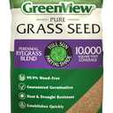 GreenView Pure Grass Seed Perennial Ryegrass Blend, 20 lb. Bag  Covers up to 10,000 sq. ft.