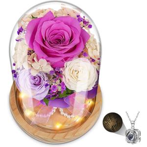 Preserved Flower in Glass Dome with Necklace - Forever Fresh Roses Gift for Women - Eternal Rose That Lasts 1-3 Years - Real Colorful Flowers for Delivery Prime - Birthday Gift for Mom, Grandma, Wife
