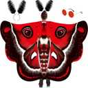 Moth Wings Costume Women Adult Mothman Costume Set Moth Wings Cape Headband Glasses for Halloween Cosplay Christmas Scary Parties