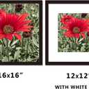16x16 Picture Frame Black 3 Pack Solid Wood for Mat 12x12 Wall Mounting Square Poster Photo Frames