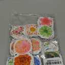 600Pcs Water Bottle Stickers for Kids, Cute Stickers for Water Bottles, Vinyl Waterproof Aesthetic Laptop Sticker Pack Classroom Prizes Skateboard for Kids Teens Girls Students