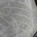 Sour Lemon Area Rugs 9x12 Living Room, Soft Large Area Rug Indoor Modern Carpet for Bedroom, Machine Washable Area Rug Non-Slip Rug Carpet for Kids Home Dorm Under Dining Table Office Decor Aesthetic