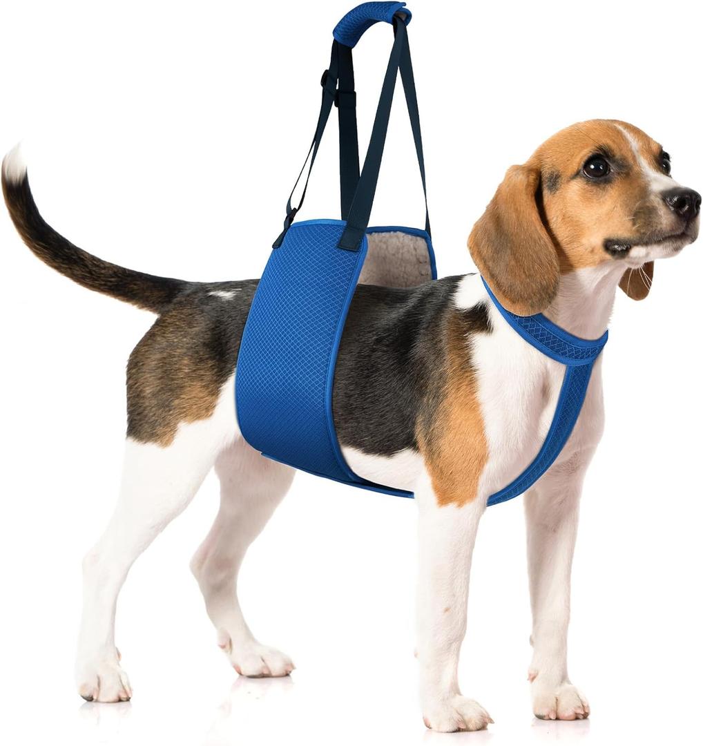 Adjustable Dog Lift Harness with Fixing Strap  Dog Lift Sling for Dogs, Hind Leg Support, Soft Rehab Harness for Weak Rear Legs, Ideal for Senior, Injured, Disabled Dogs and Surgery Recovery (M)