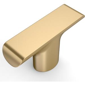 Amerdeco 10 Pack Champagne Bronze Cabinet Knobs 2 Inch(50MM) Kitchen Cabinet Pulls Drawer Knobs, Knobs for Dresser Drawers, Knobs and Pulls for Bathroom Cabinets