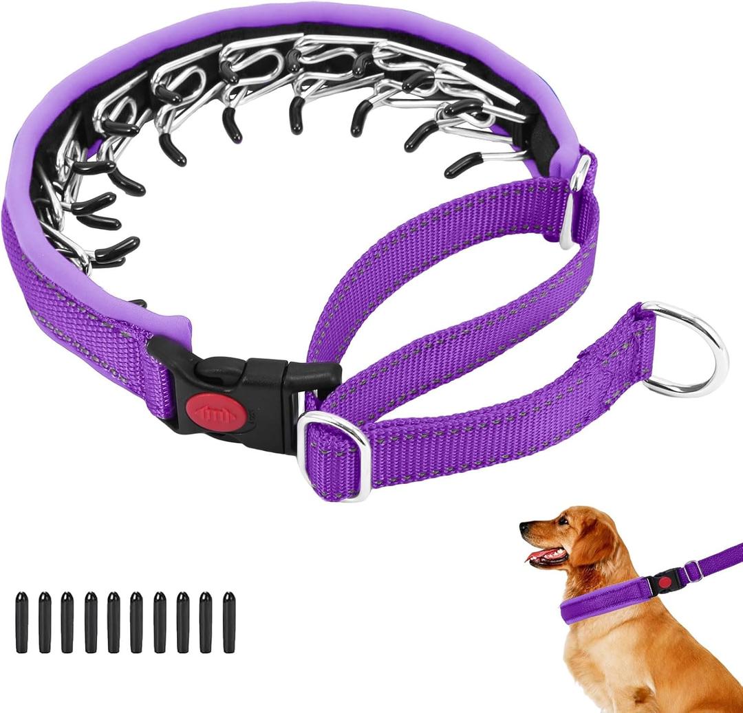 Martingale No Pull Dog Collar for Dogs, Heavy Duty Nylon Reflective Adjustable Anti Pull Slip Collar with Buckle for Training Walking (Medium, Purple)