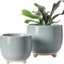 LE TAUCI Ceramic Plant Pots, 5.1 + 6.4 Inch Footed Pots for Plants, Modern Flower Pots for Home and Office, Indoor Planters with Drainage, Reactive Glaze Gray only 1 pieces