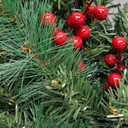 2 Pack Pre-lit Christmas Tree with Remote, Battery Operated with Timer, Smart Multi-Color & Warm White Lights, Music Sync, Artificial Christmas Tree for Outdoor Porch, Urn Filler, Xmas Decor