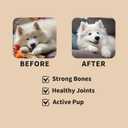 Premium Glucosamine Chewable for Dogs - Hip & Joint Supplement Dog Chews with Chondroitin MSM Omega-3 Support Mobiltiy and Joint Pain Comfort Improve Flexibility, Beef Flavor 100 Soft Treats